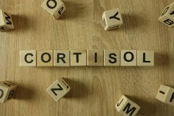 The Hidden Connection: How Stress Shapes Your Fitness and Body Composition 2 Image saying "Cortisol" and how stress Feltham impacts your wellbeing and bodies shape